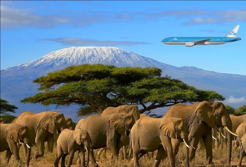 Arrivo all'Aeroporto Internazionale del Kilimanjaro.