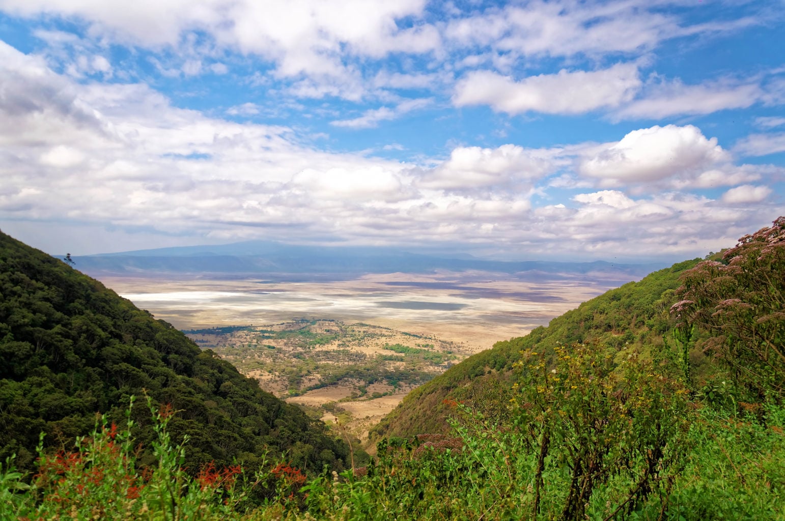 Area di Conservazione di Ngorongoro (incluso il Cratere)