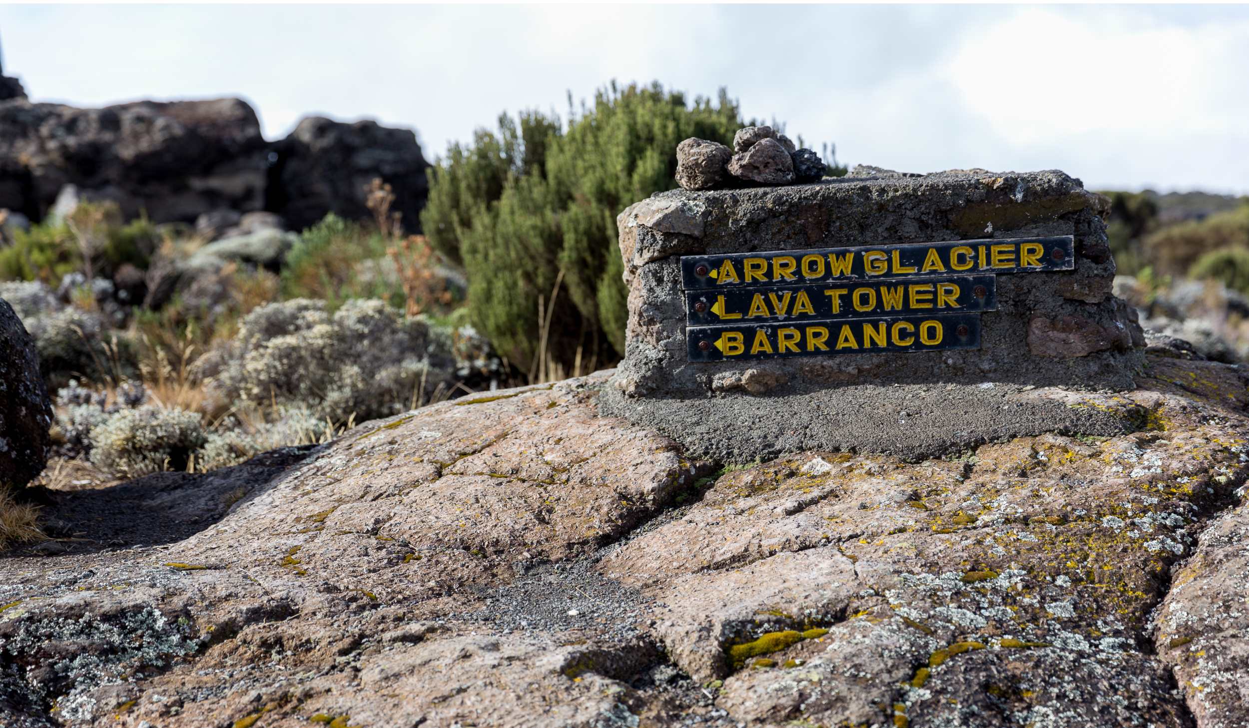 Via Lemosho – 8 giorni – Giorno 4 | Dallo Shira 2 Camp (3.890 m) alla Lava Tower (4.630 m) al Barranco Camp (3.950 m)
