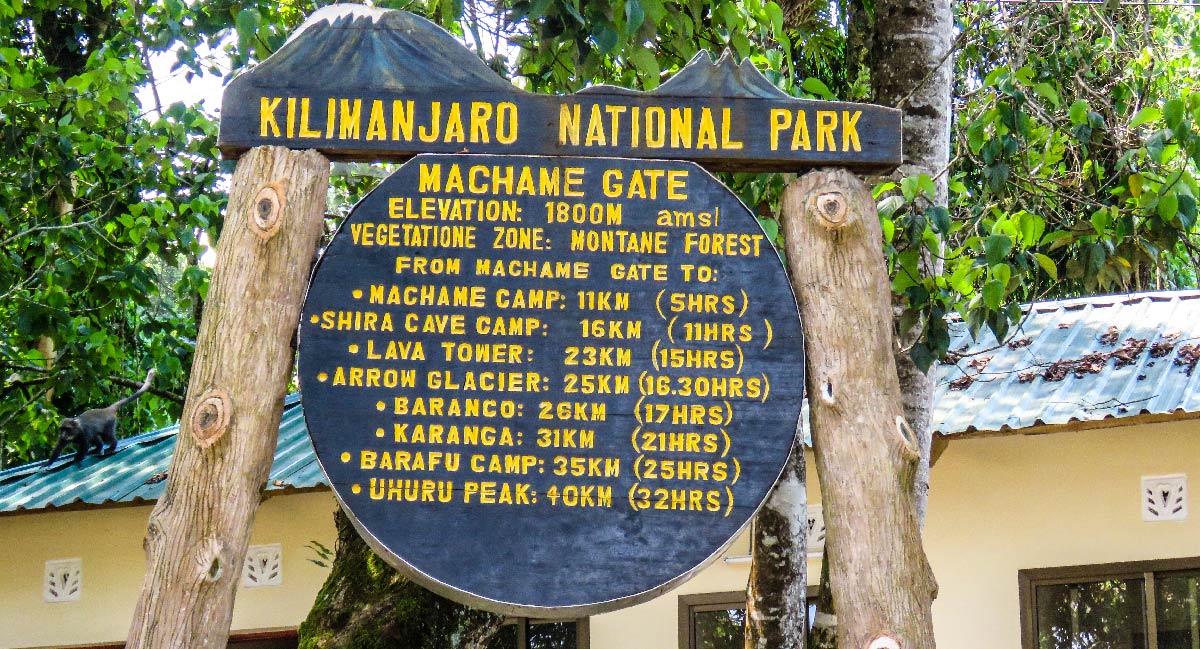 Via Machame – 7 giorni – Giorno 1 | Dal Machame Gate (1.800 m) al Machame Camp (2.835 m)