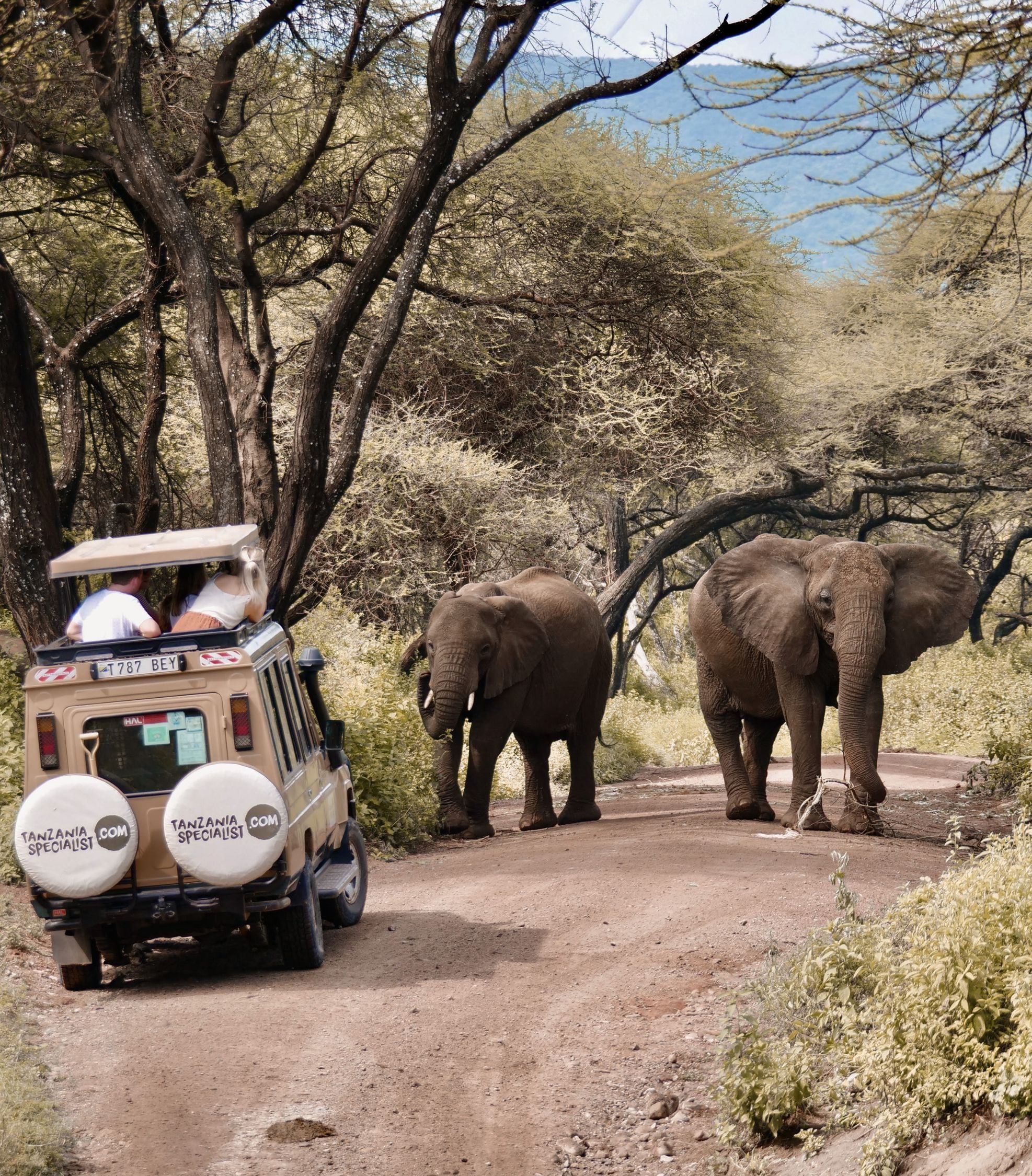 Perché Tanzania Specialist?