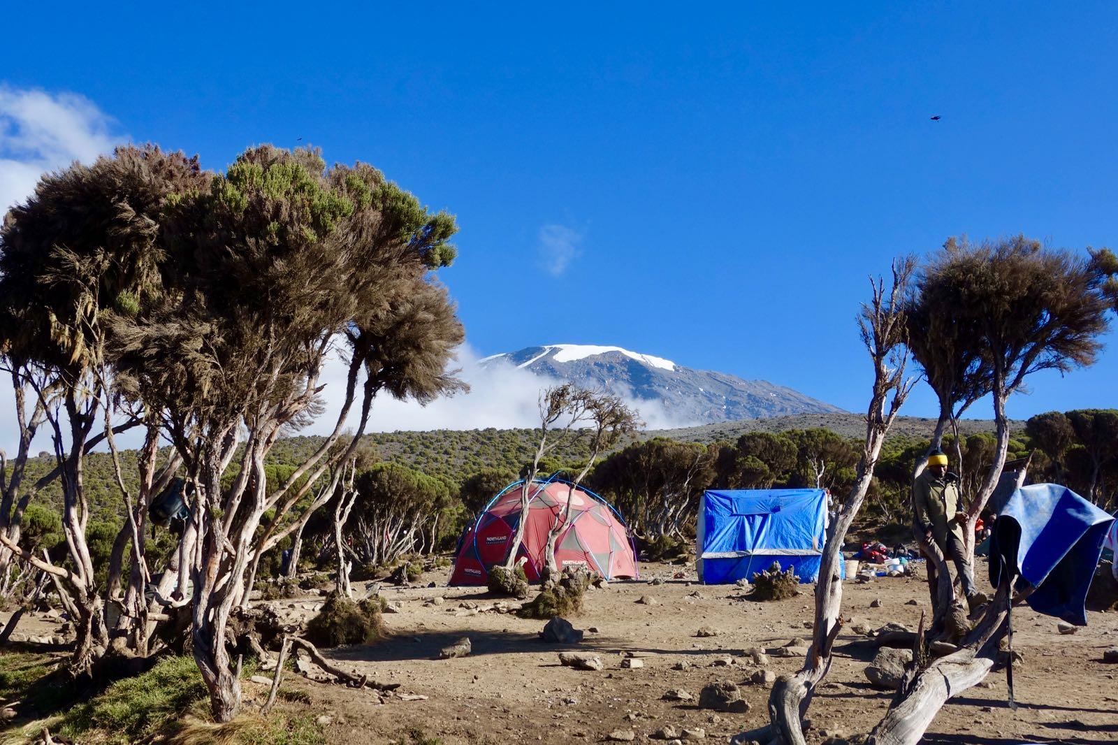 Via Machame – 6 giorni – Giorno 5 | Dal Barafu Camp (4.645 m) all’Uhuru Peak (5.895 m) e al Millennium Camp (3.820 m)