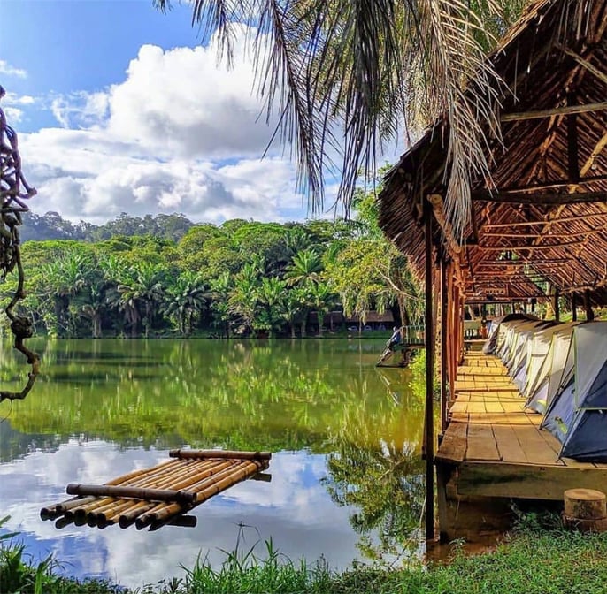 Monti Usambara - Magoroto Forest Estate