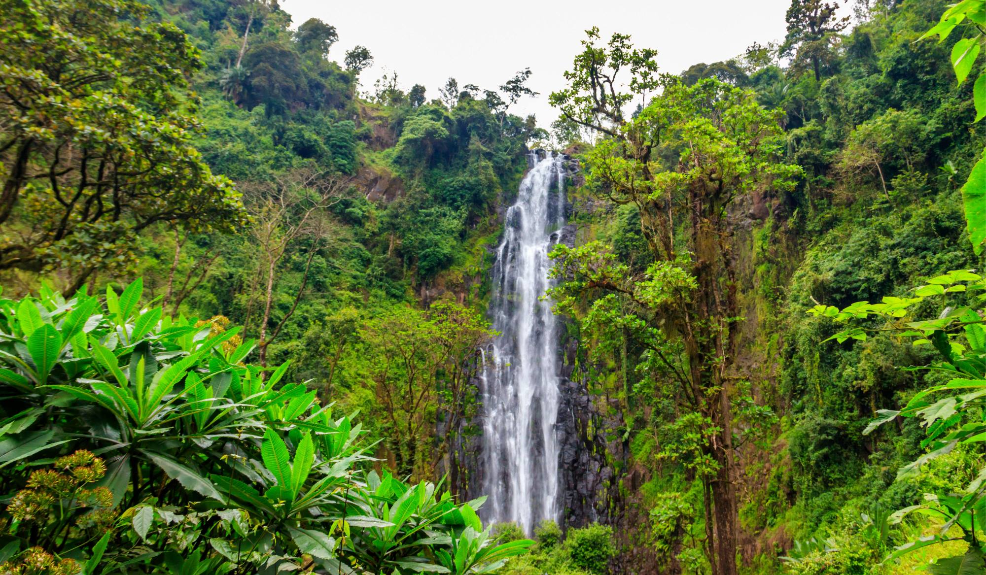 Camminata dal villaggio di Materuni alla cascata di Kuringe