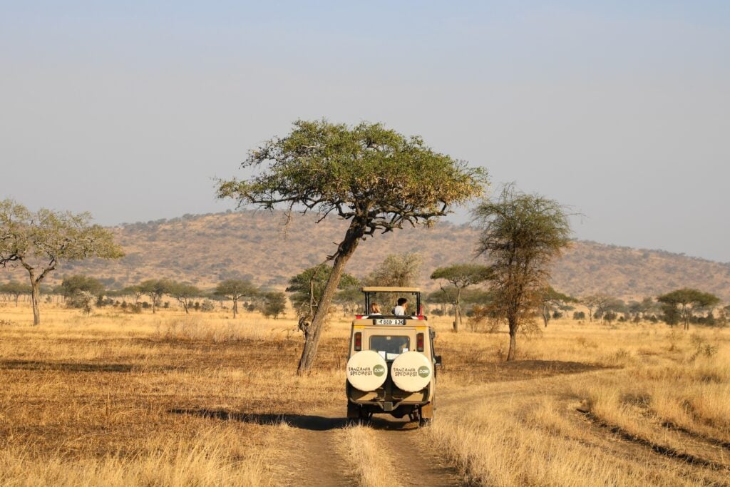 Dry Season in the Tanzanian Savannah – Jeep Tanzania Specialist