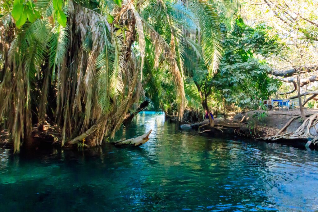 sorgenti calde di Kikuletwa in Tanzania Moshi