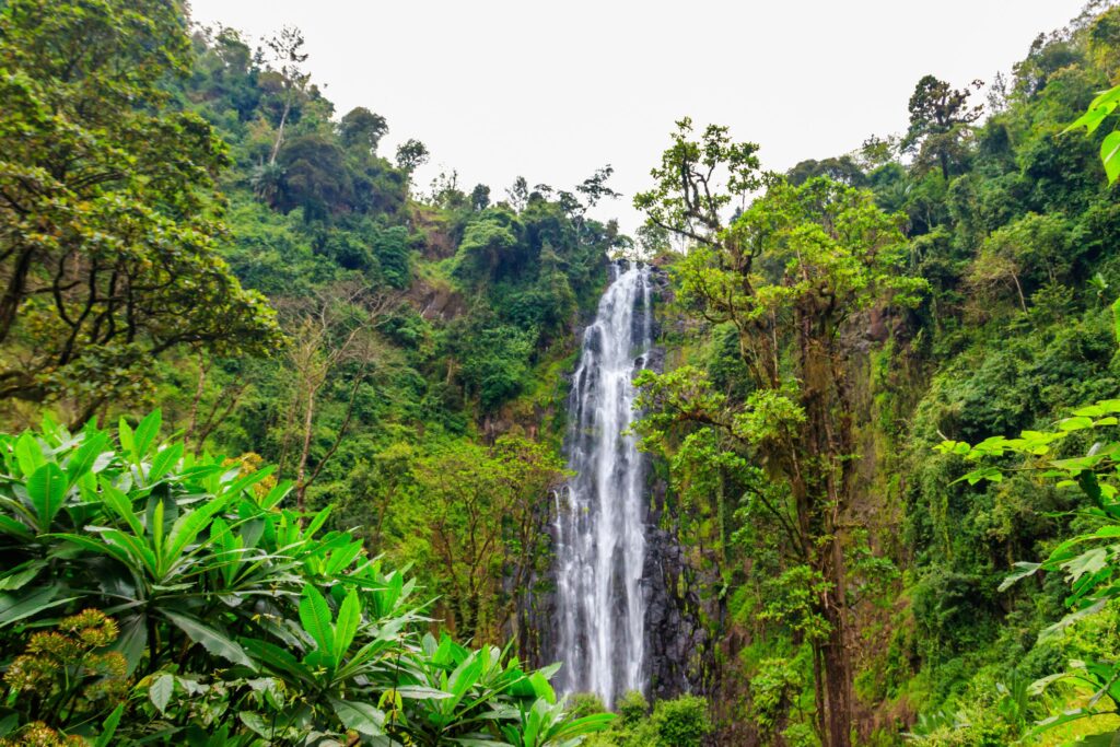 cascata di Materuni a Moshi, Tanzania