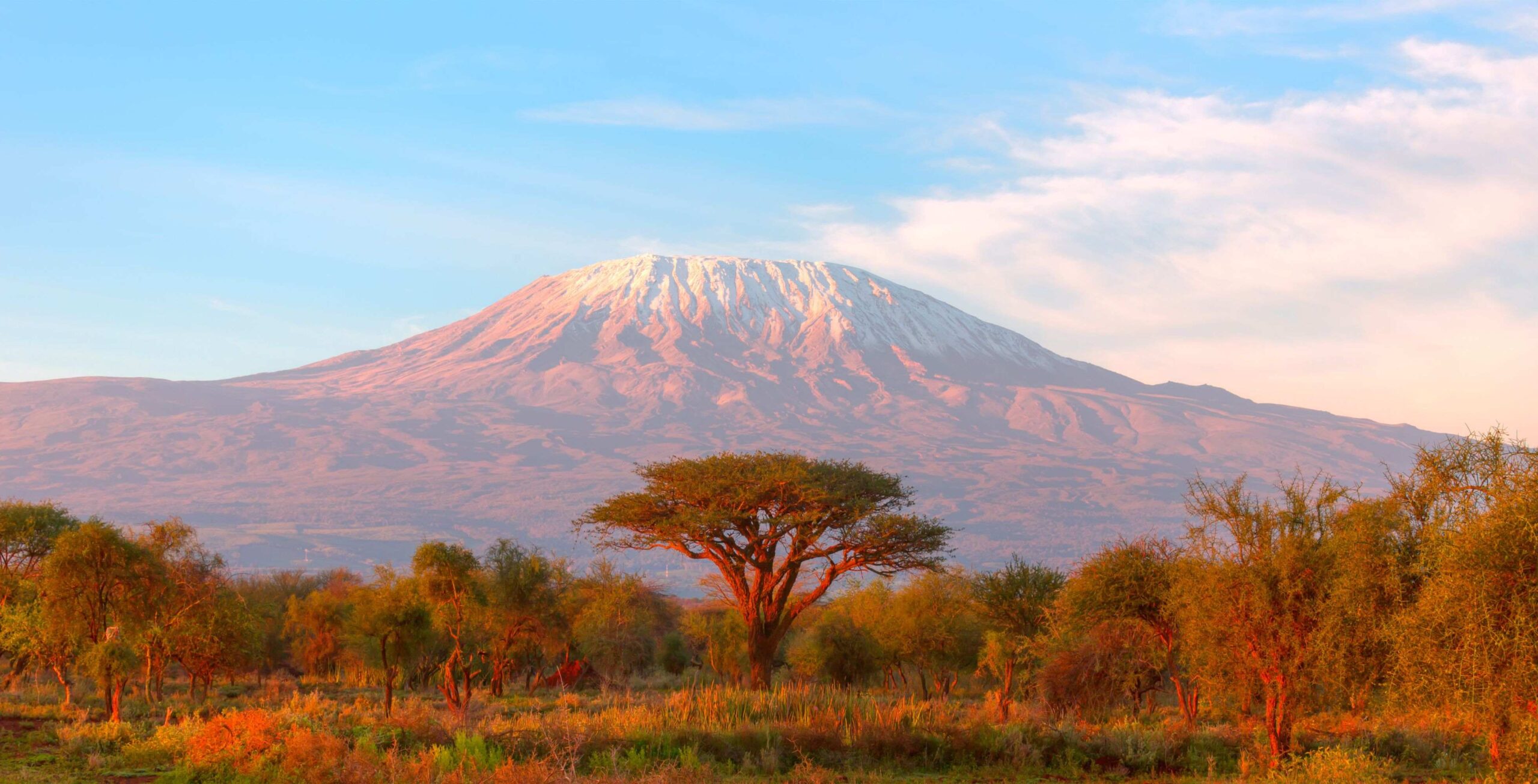 Via Rongai – 6 giorni – Giorno 1 | Dal Rongai Gate (1.950 m) al First Cave Camp (2.650 m)