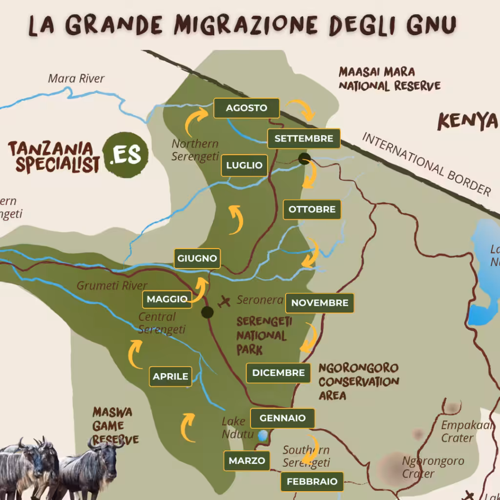 grande migrazione gnu quando e dove