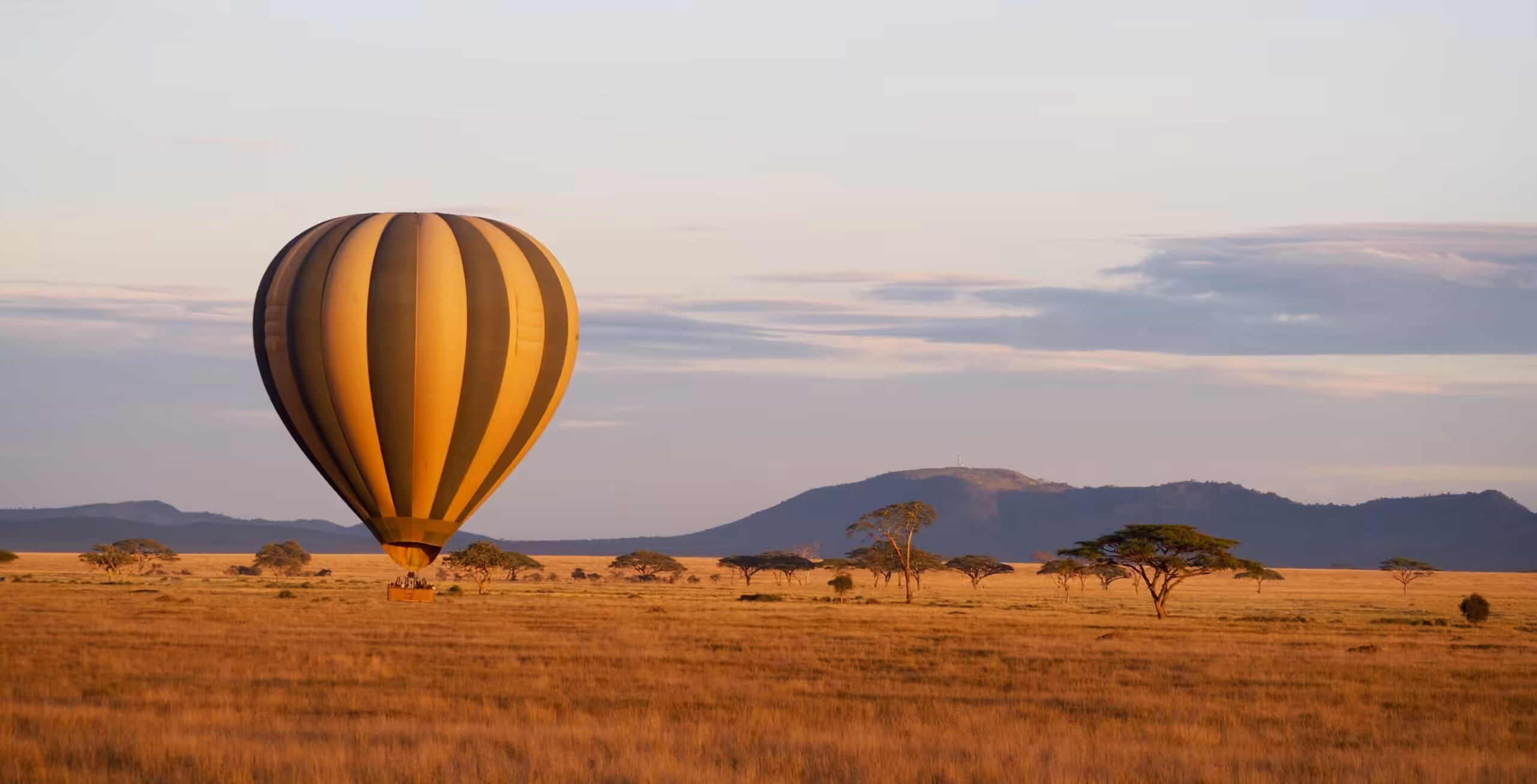 Parco Nazionale del Serengeti - safari in grande stile!