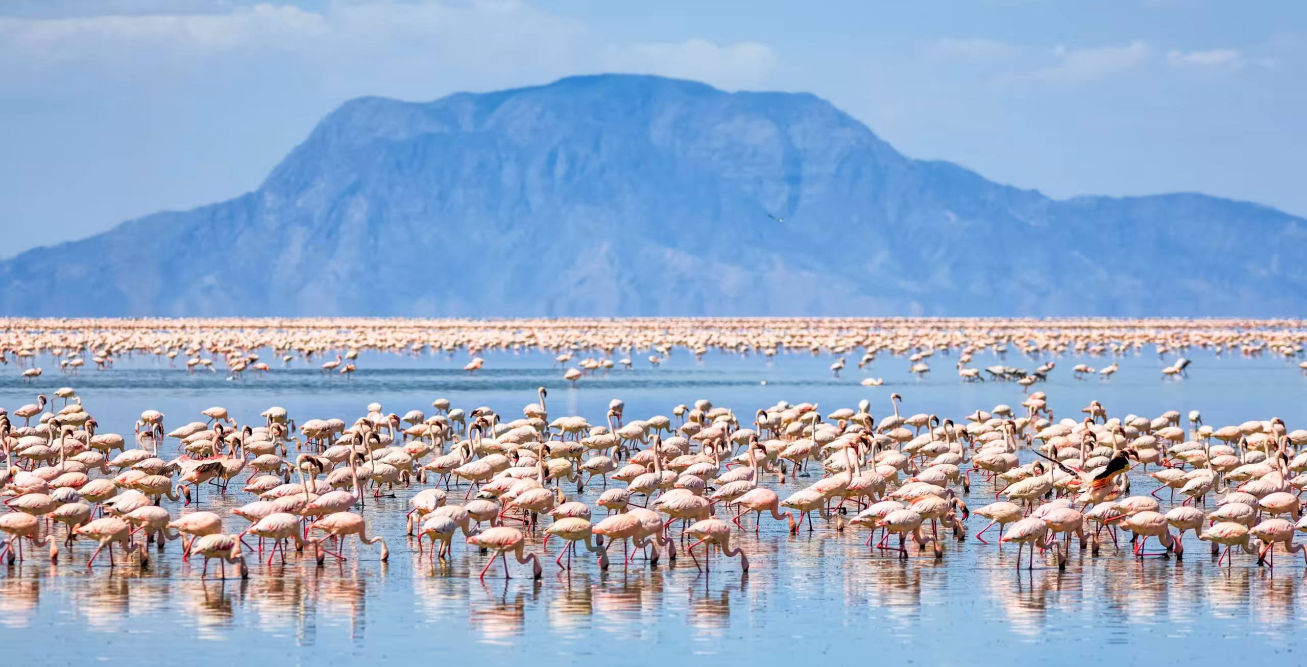 Lago Natron