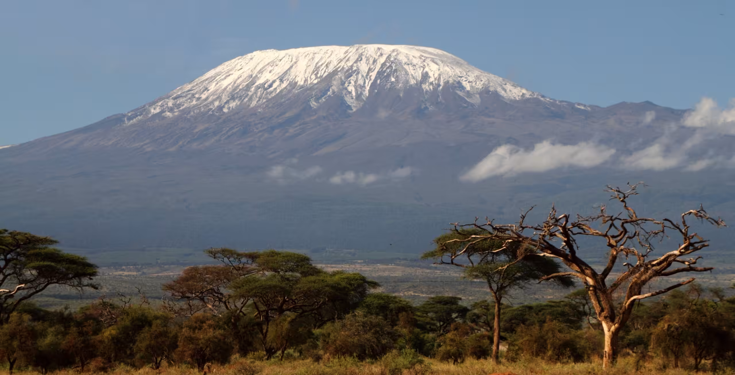 Arrivo all’Aeroporto Internazionale del Kilimanjaro per la tua scalata