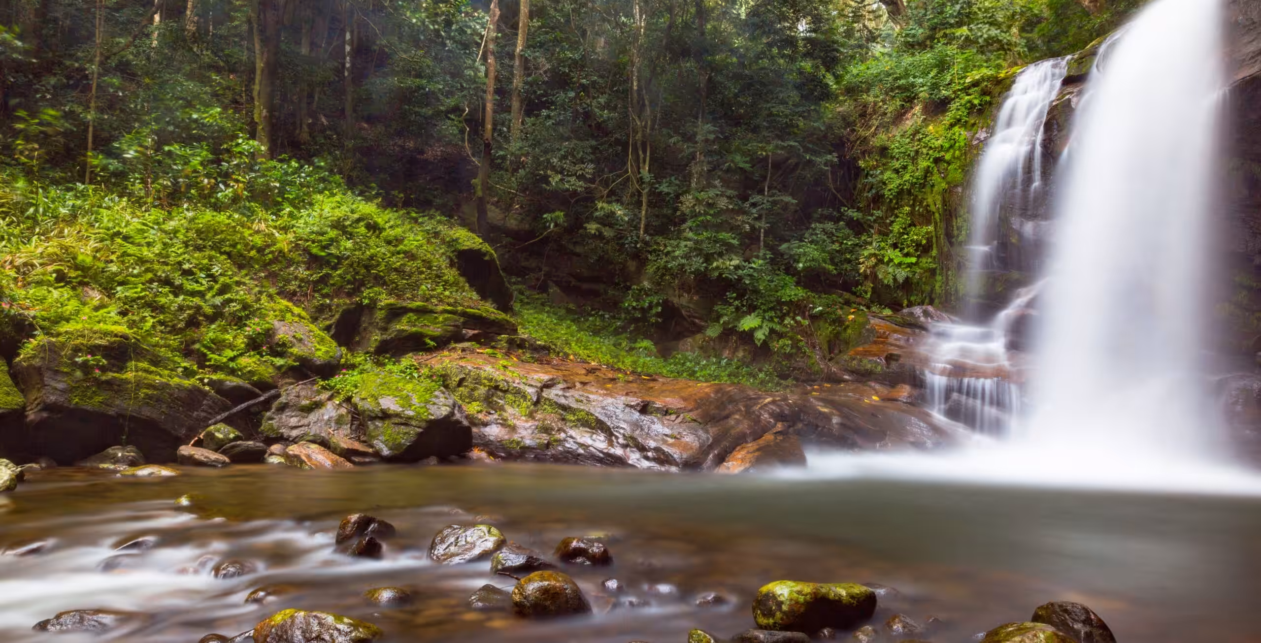 Parco Nazionale dei Monti Udzungwa