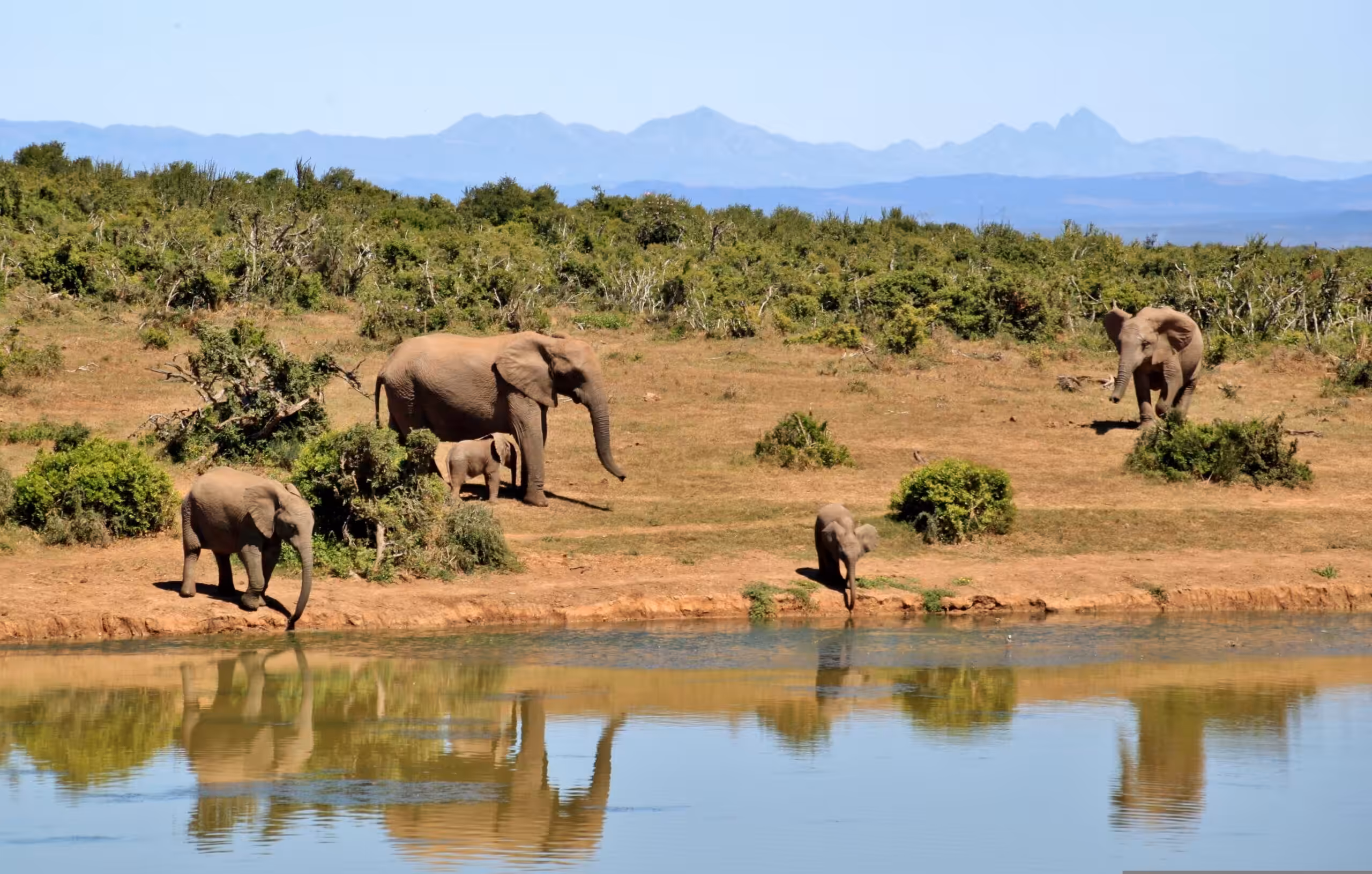 Parco Nazionale del Tarangire — safari in grande stile, in aereo!