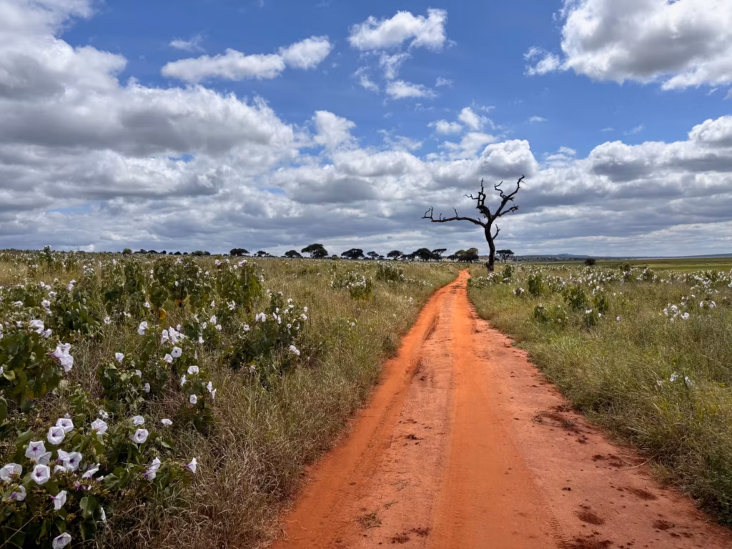 strada Tarangire