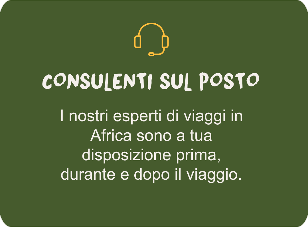 On-site consultants