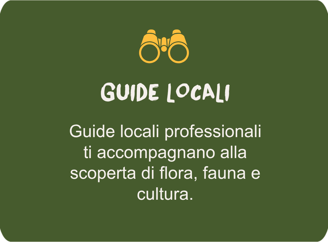 Local guides