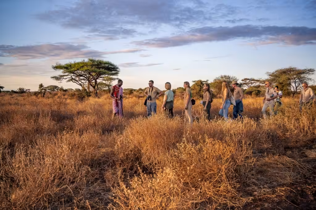 Safari di gruppo in Africa