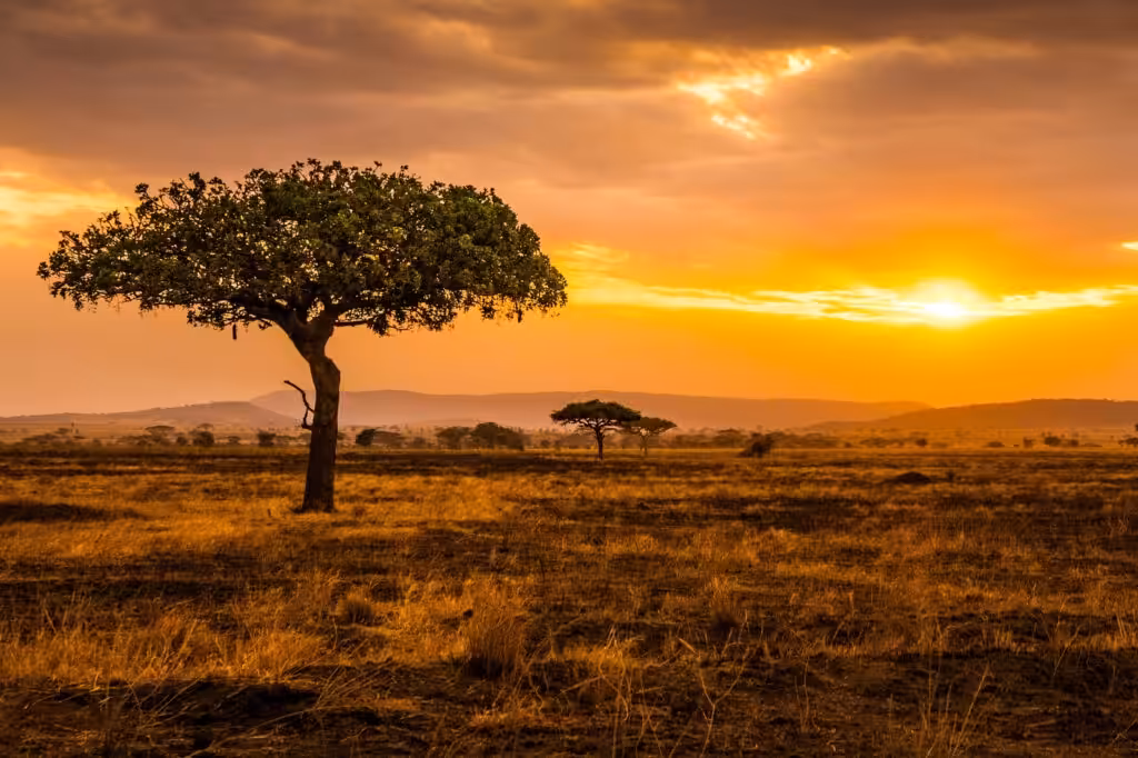Tramonto nel Serengeti