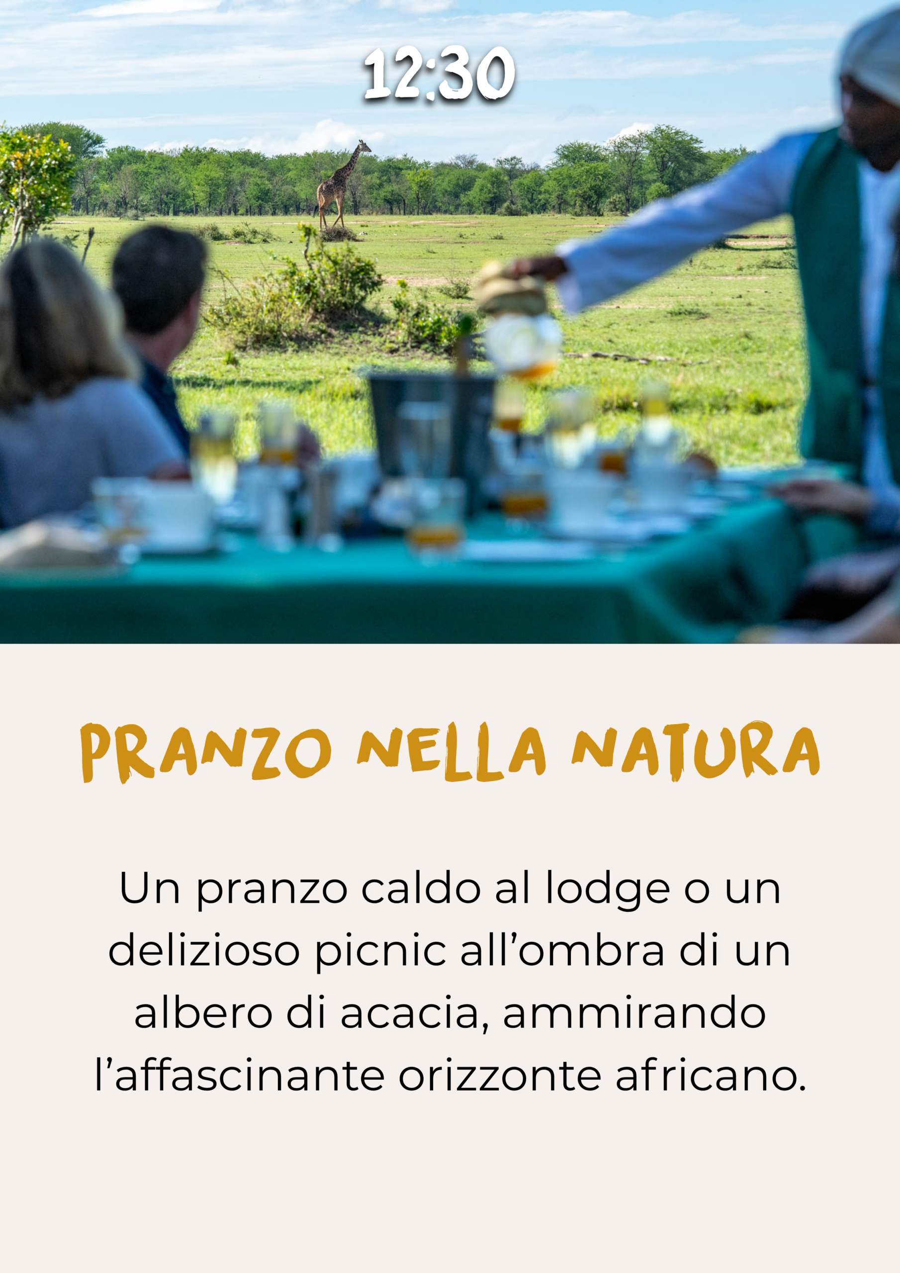 Pranzo nella natura incontaminata durante un safari in Tanzania