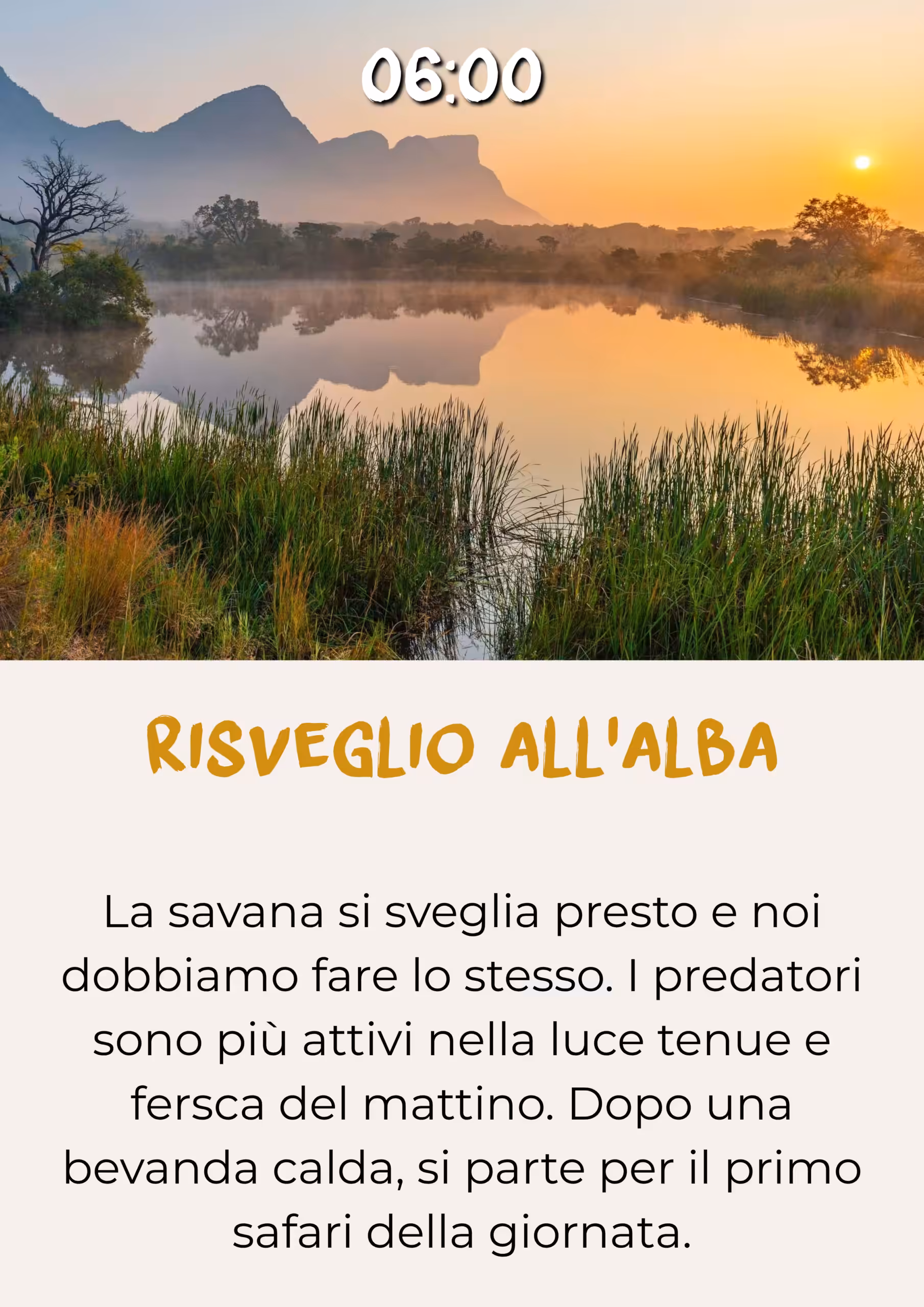Safari in 4x4 al mattino presto durante il risveglio dorato