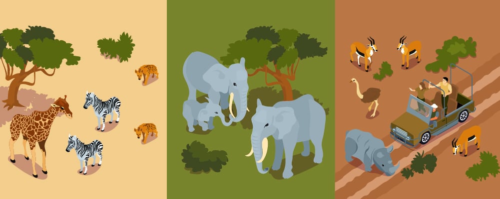 Why go on an African -Tanzania Safari